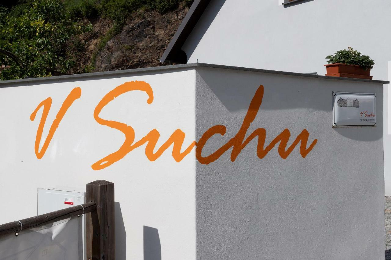 Penzion V Suchu Český Krumlov Eksteriør billede